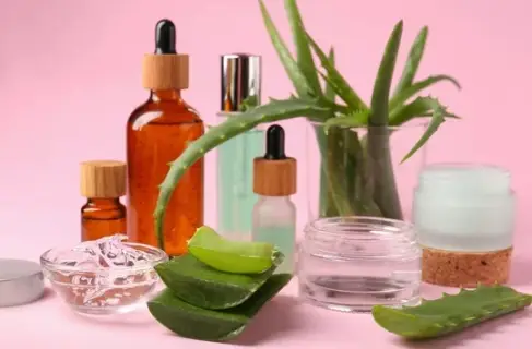 Aloe Vera – Le Secret Naturel pour le Corps, le Visage et les Cheveux